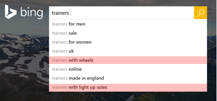 Example of Bing Search Queries for Trainers